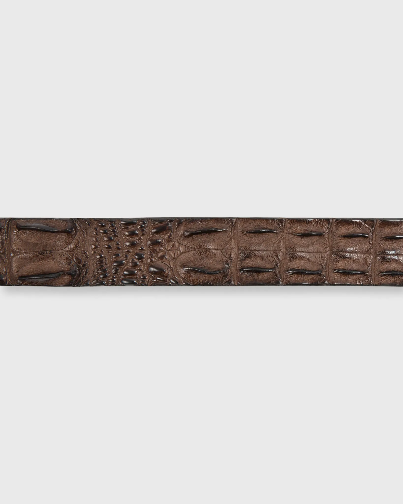 1 3/8" Hornback Crocodile Belt in Brown