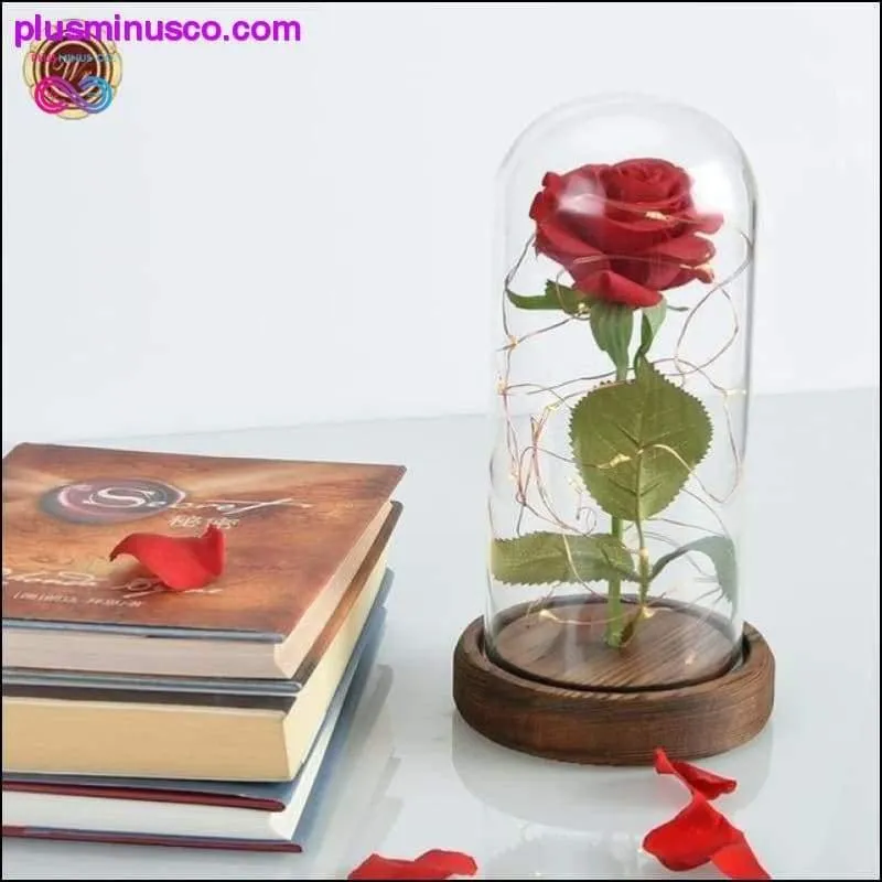 Beauty and the Beast Red Rose in a Glass Dome with LED Light