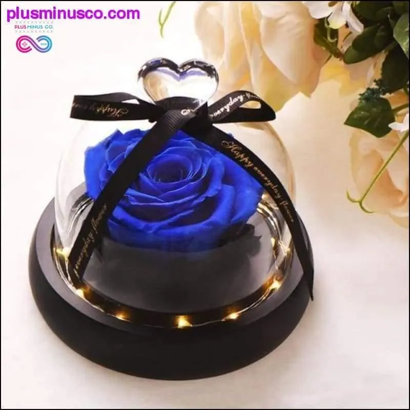 Beauty and the Beast Red Rose in a Glass Dome with LED Light