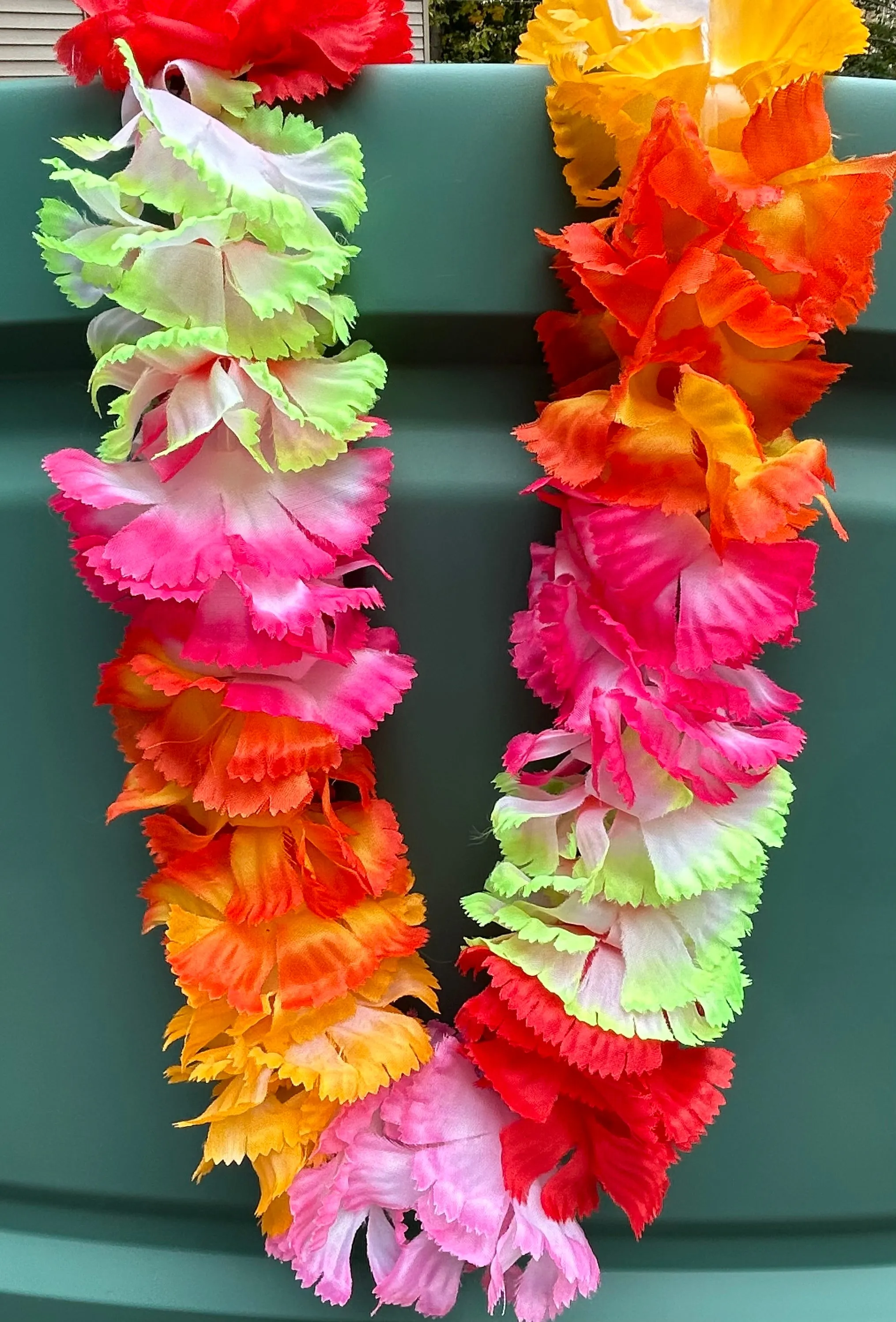 Hawaiian Flower Leis Assortment