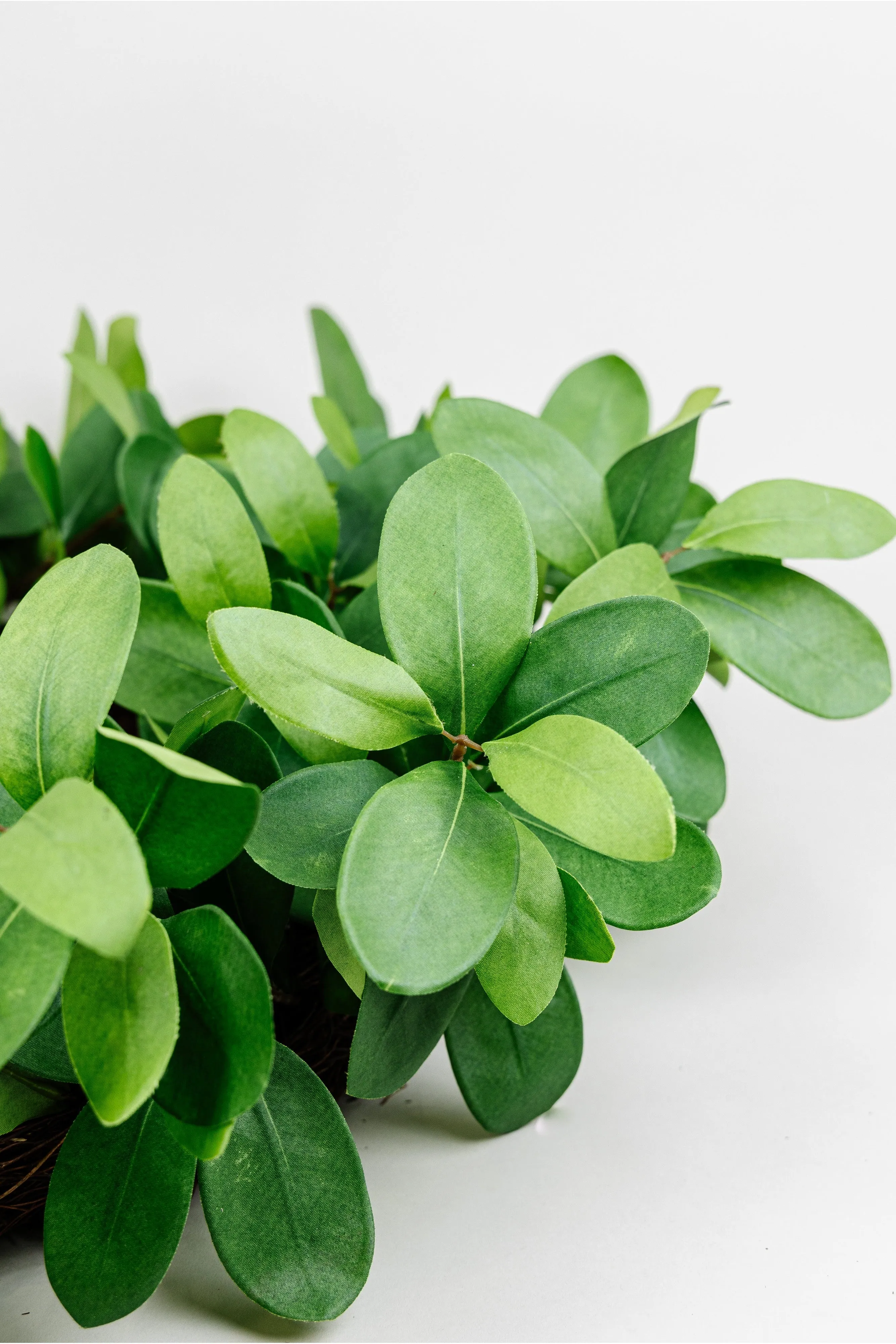 Mangrove Leaf Wreath